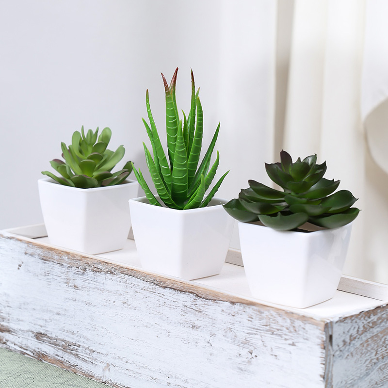 3PCS Artificial Evergreen Plan - Succulent Set ulasan dan harga