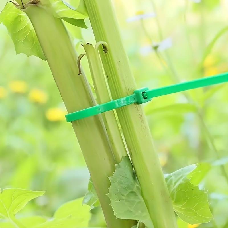 100pcs Garden Cable Tie, Plant - Plant Pot ulasan dan harga