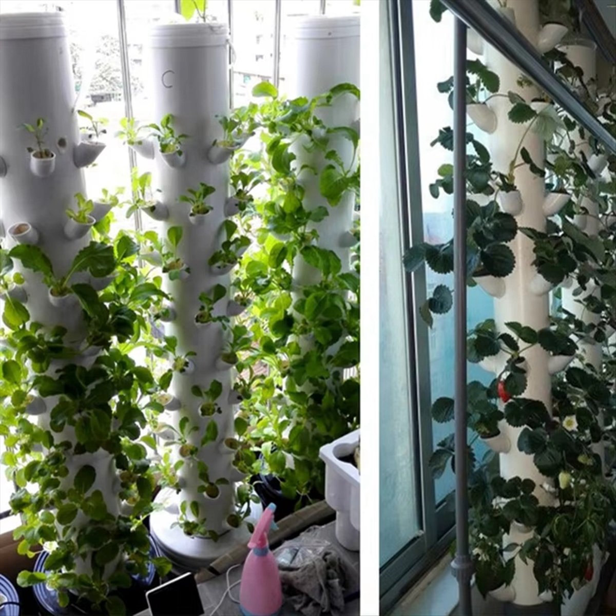 Hydroponic Vertical Tower Cont - Plant Pot ulasan dan harga