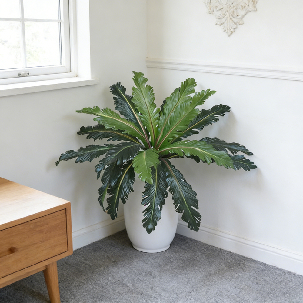 45-50cm Tropical Fake Persian  - Snake Plant ulasan dan harga