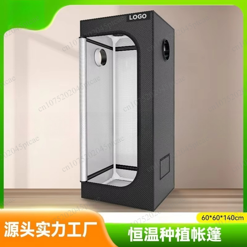 Indoor constant temperature pl - Indoor Plants ulasan dan harga