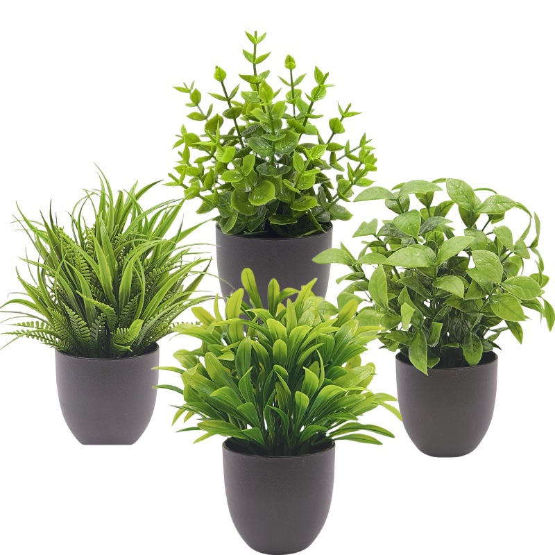 Simulation Green Plant Bonsai  - Succulent Set ulasan dan harga