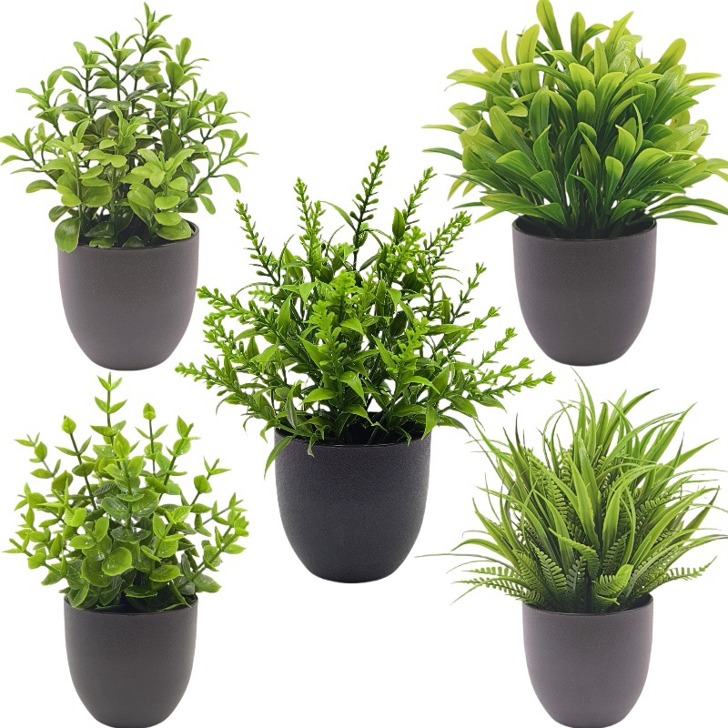 Simulation Green Plant Bonsai  - Succulent Set ulasan dan harga