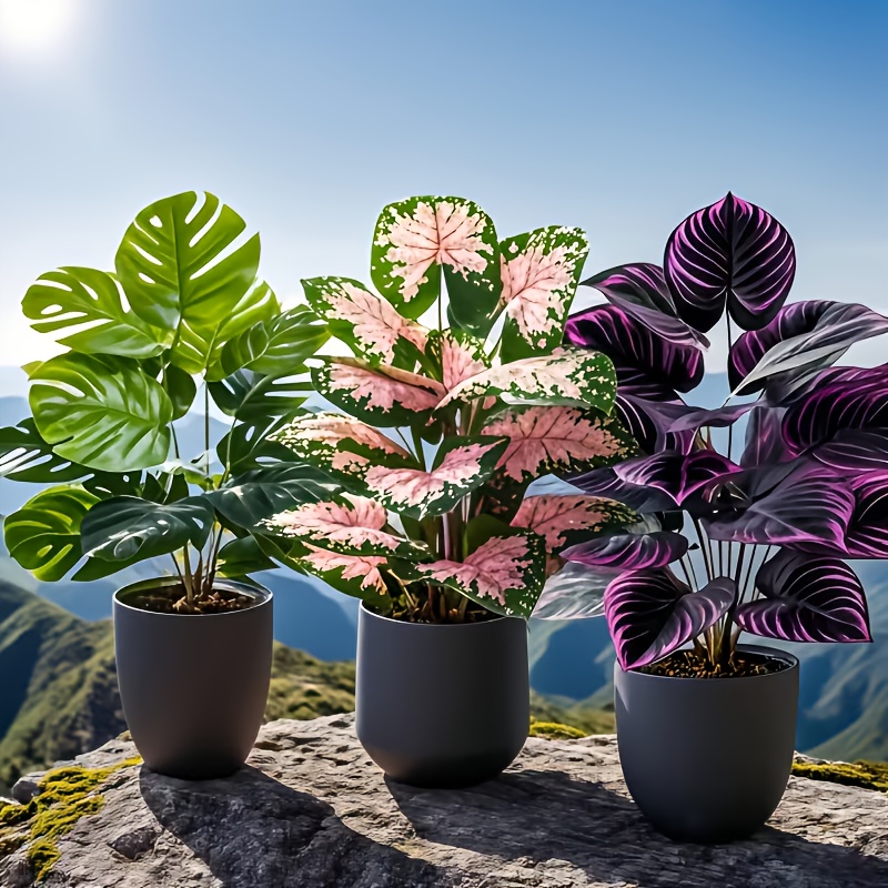 3Pcs Mixed Artificial Plant Se - Fiddle Leaf Fig ulasan dan harga