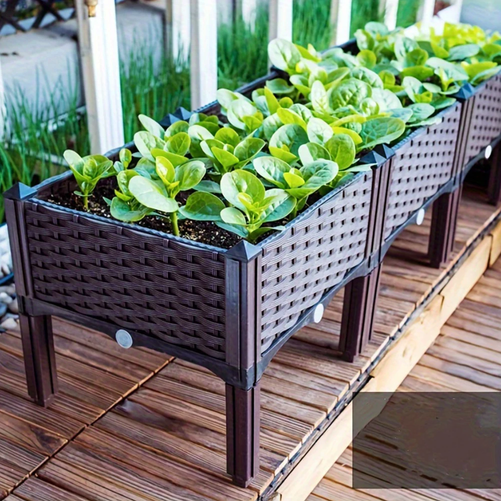 Large Capacity Garden Bed Vege - Pothos ulasan dan harga