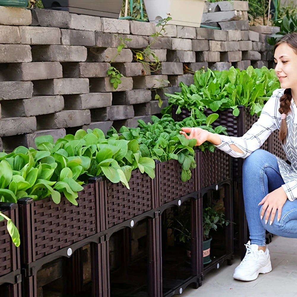 Large Capacity Garden Bed Vege - Pothos ulasan dan harga
