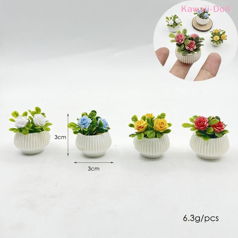 1Pcs Miniature Mini Rose Plant - Plant Pot ulasan dan harga