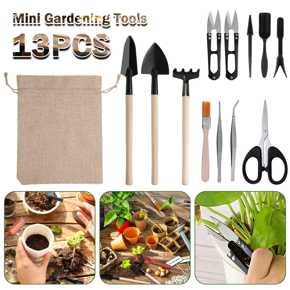 Succulent Plants Tools Mini Ga - Succulent Set ulasan dan harga