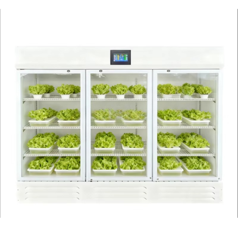 HEZHOU HZ-3 Indoor Hydroponic  - Indoor Plants ulasan dan harga