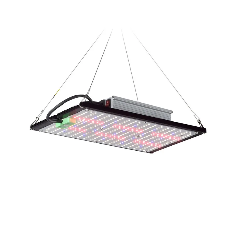 LED Quantum‑Board Grow Light F - Indoor Plants ulasan dan harga