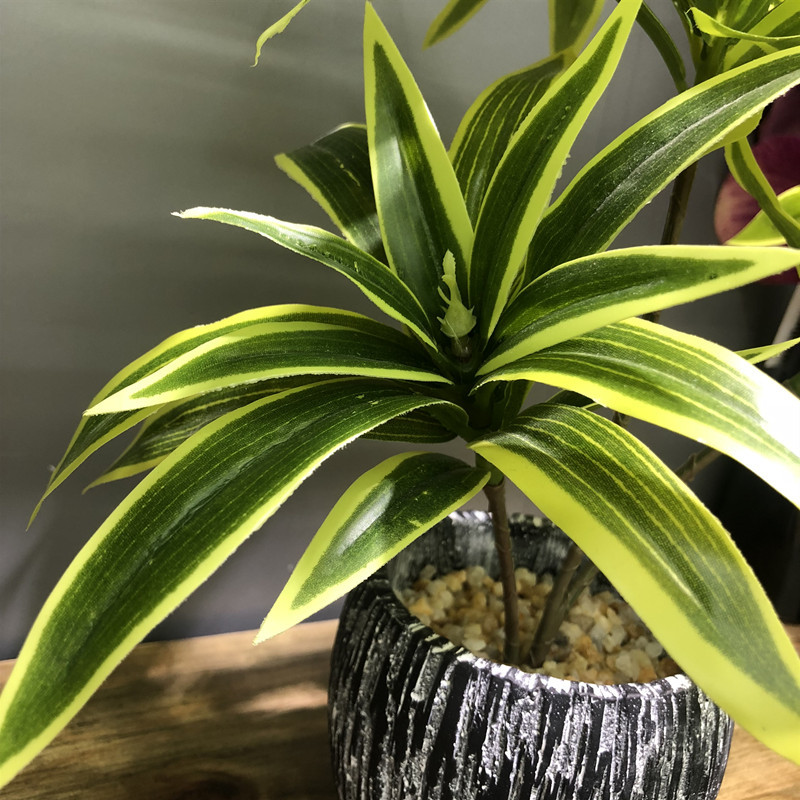 35CM 3 Fork Artificial Desktop - Snake Plant ulasan dan harga