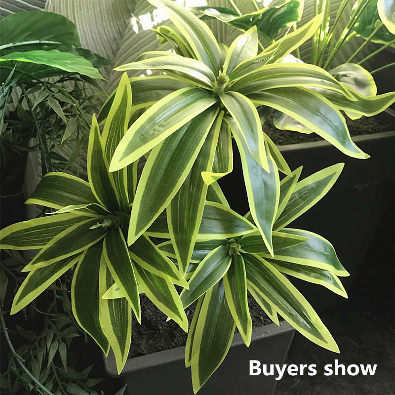 35CM 3 Fork Artificial Desktop - Snake Plant ulasan dan harga